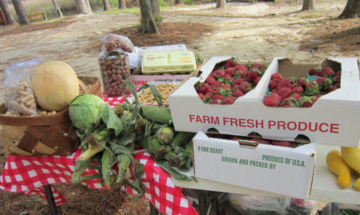 Fresh produce from Shalotte Farmers Market in Brunswick County