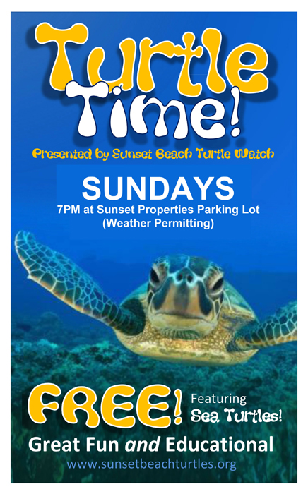 turtle-time-poster-for-trash-medium